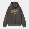 Carhartt Wip Library Hoodie